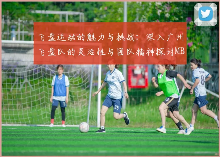 飞盘运动的魅力与挑战：深入广州飞盘队的灵活性与团队精神探讨MBA