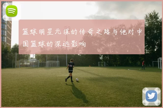 篮球明星元谋的传奇之路与他对中国篮球的深远影响