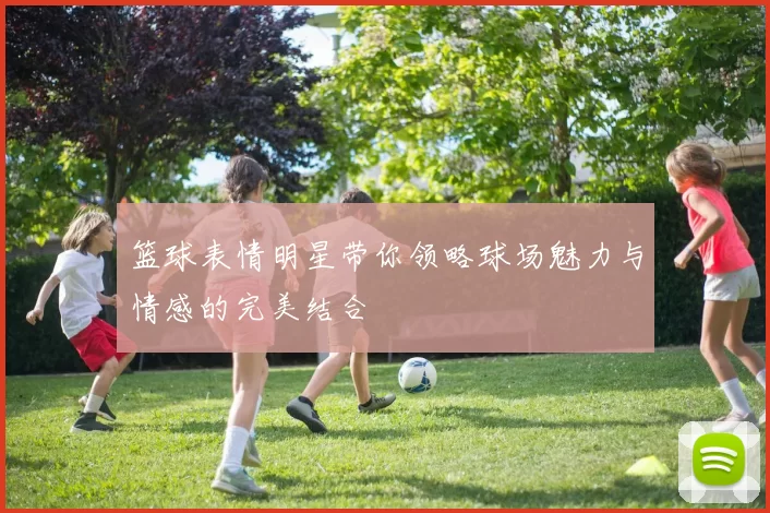 篮球表情明星带你领略球场魅力与情感的完美结合