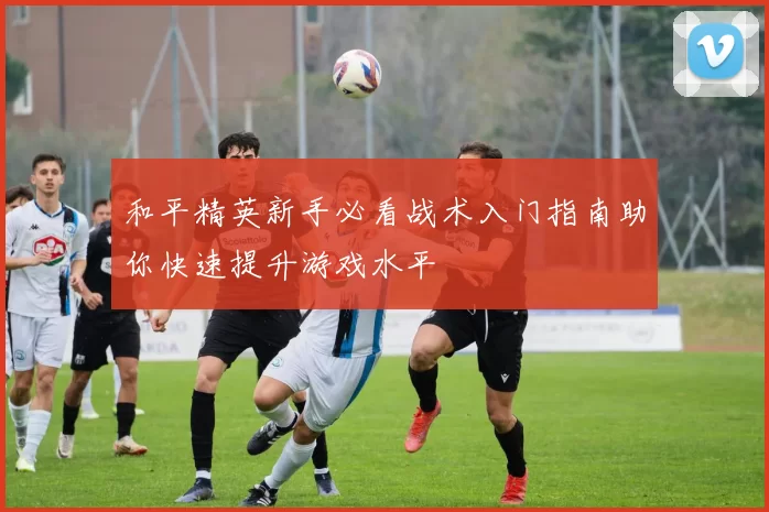 和平精英新手必看战术入门指南助你快速提升游戏水平